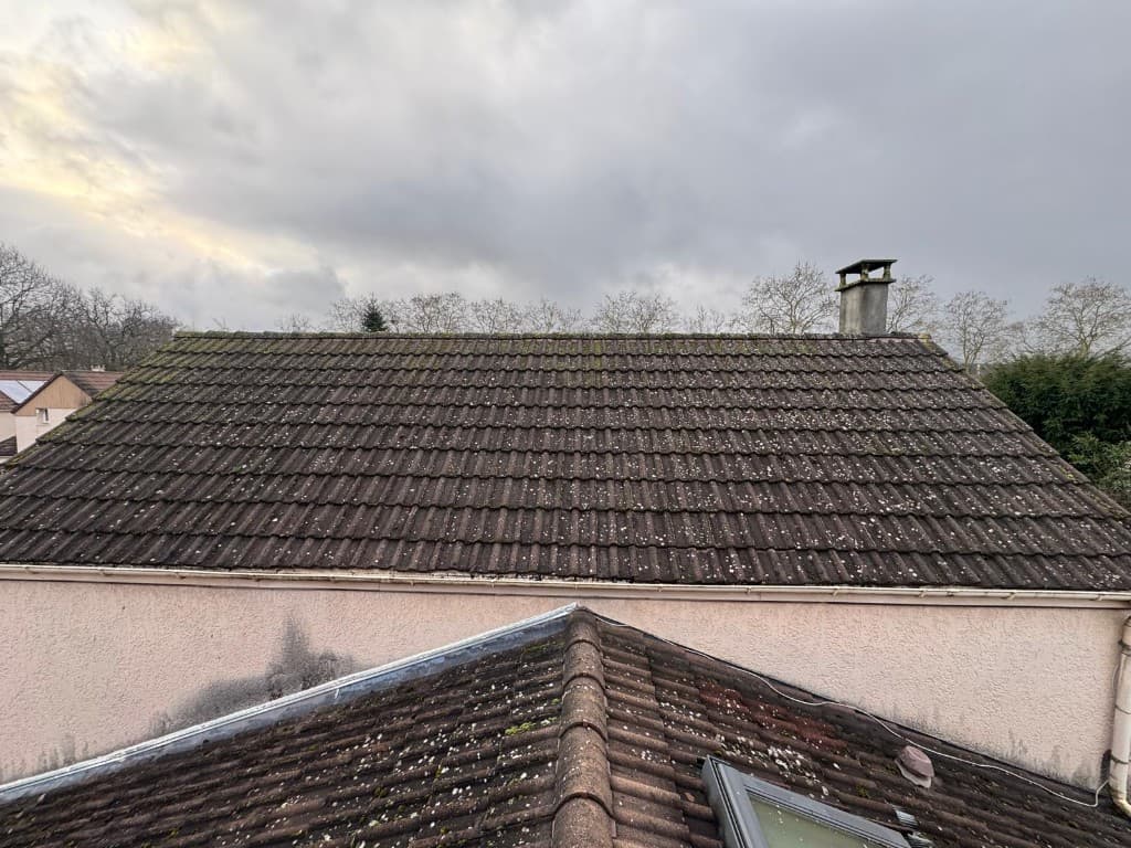 Toiture envahie par la mousse et le lichen avant démoussage à Blois, Loir-et-Cher (41)